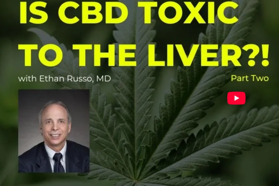 Study Finds No Association Between CBD Use and Liver Damage