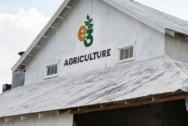 Texas Cotton Gin Reborn as Hemp Hub, With Building Materials at Its Core Texas Cotton Gin Reborn as Hemp Hub, With Building Materials at Its Core